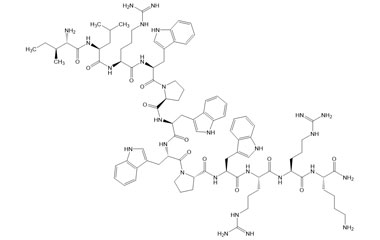 PA PEP 002805