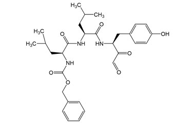 PA PEP 002809