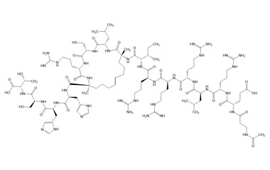 PA PEP 002812