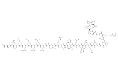 PA PEP 002813