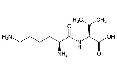PA PEP 002815