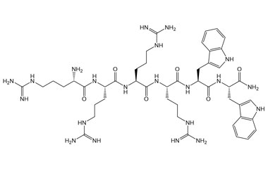 PA PEP 002821