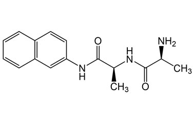 PA PEP 002828