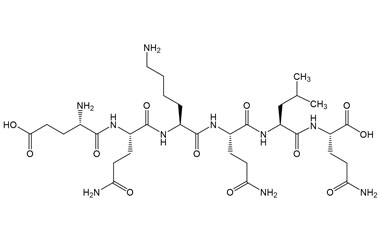 PA PEP 002830