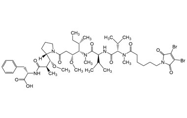 PA PEP 002837