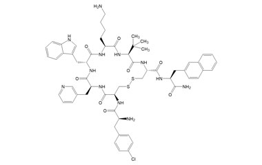 PA PEP 002844