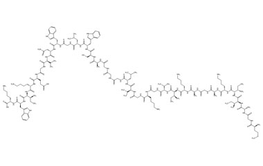 PA PEP 002866