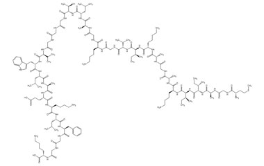 PA PEP 002868