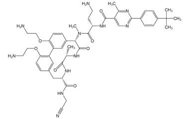 PA PEP 002871