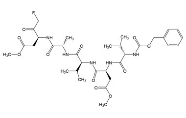 PA PEP 002876