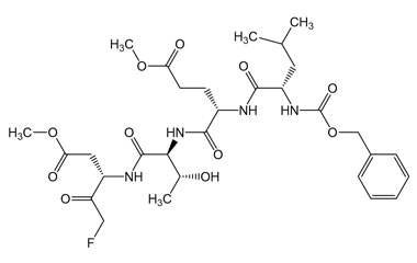 PA PEP 002877