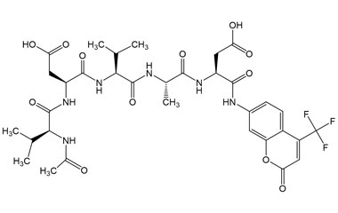 PA PEP 002878