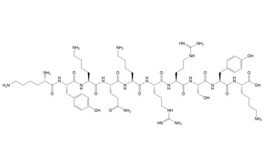 PA PEP 002904