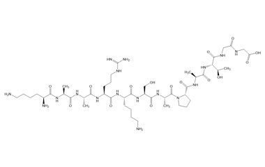 PA PEP 002905