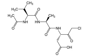 PA PEP 002921