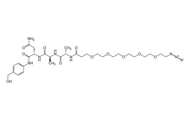 PA PEP 002922