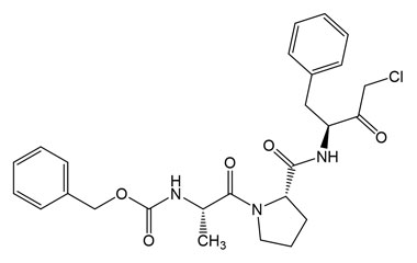 PA PEP 002938