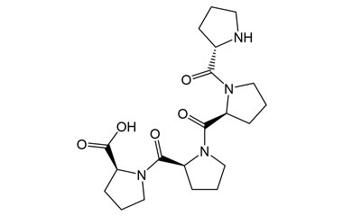 PA PEP 002939