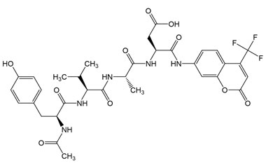 PA PEP 002941