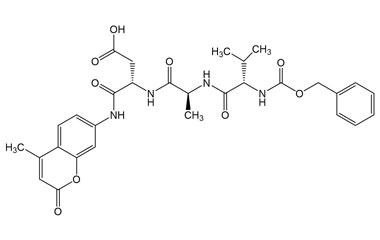 PA PEP 002942