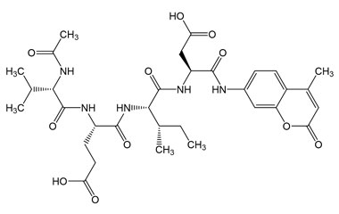 PA PEP 002943