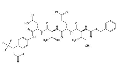 PA PEP 002944