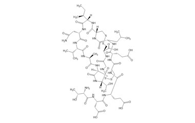 PA PEP 002951