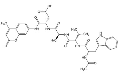 PA PEP 002954