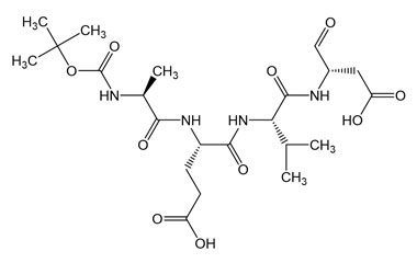 PA PEP 002955