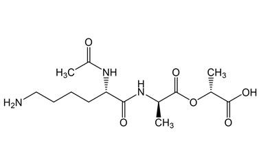 PA PEP 002959