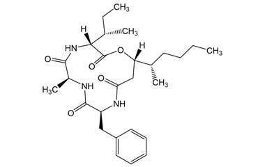 PA PEP 002963