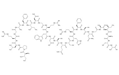 PA PEP 002966
