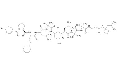 PA PEP 002977