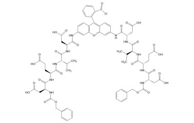 PA PEP 002978