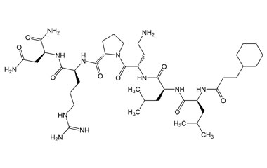 PA PEP 002982