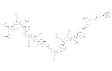 PA PEP 002992