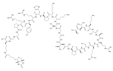 PA PEP 002993