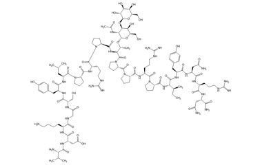 PA PEP 003001