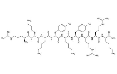 PA PEP 003002