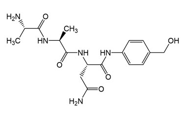 PA PEP 003003