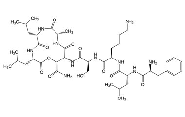 PA PEP 003005