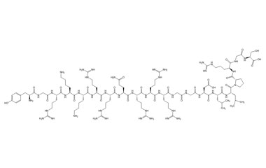PA PEP 003006