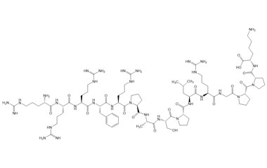 PA PEP 003010