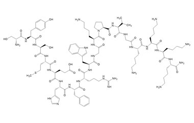PA PEP 003013