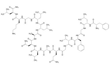 PA PEP 003016