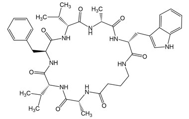 PA PEP 003018