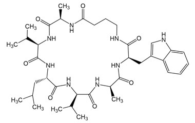 PA PEP 003019