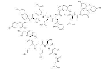 PA PEP 003021