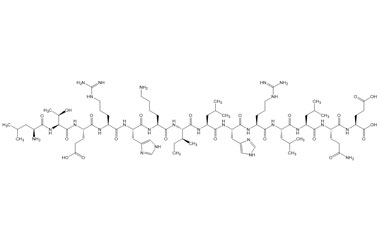 PA PEP 003024