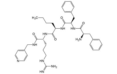 PA PEP 003029